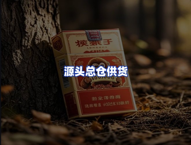 专业团队